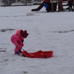 phoca_thumb_m_bobovn 29.1.18  35 Fotogalerie
